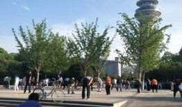 天津公园爆料视频最新,揭秘公园里的惊人秘密与奇闻轶事