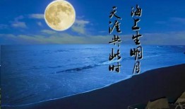 天涯共此时在线观看,跨越时空的视听盛宴