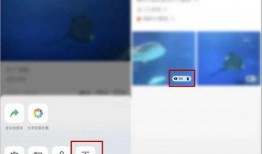 爆料为什么看不了视频号,视频号观看受阻，幕后原因曝光！