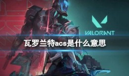 瓦洛兰特最新皮肤爆料图,炫酷造型，等你来战！