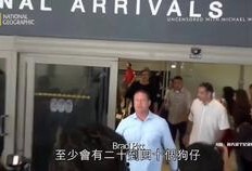 嘉兴狗仔队新闻爆料,揭秘明星幕后故事
