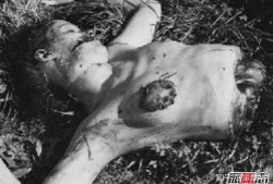 黑色大丽花在线观看,暗夜中的惊悚悬疑之旅