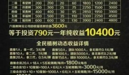 爆料全民健身骗局视频,视频揭露背后真相