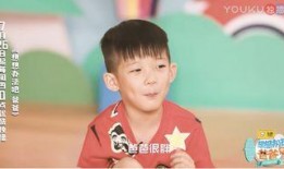萌娃爆料父亲被杀视频,视频引发社会关注