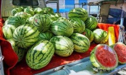 甘南网红吃瓜事件真相,揭秘背后真相与反思