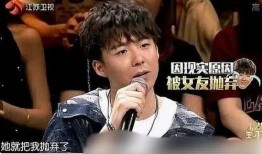 刘宇宁爆料狗仔视频大全,揭秘娱乐圈隐私泄露真相