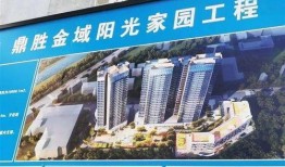 深圳沙井新爆料最新消息,揭秘神秘项目背后的真相