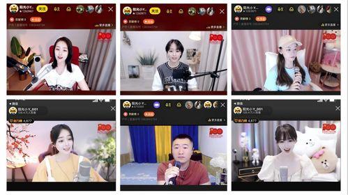 吃瓜大赛在线视频直播,全民互动,笑料横飞